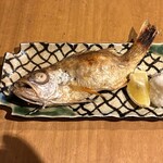 吟魚のはなれ  吟チロリ