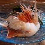 味ごよみ宮田 - ぼたんえび