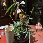 花仙庵 仙仁温泉 岩の湯 - アマゴ