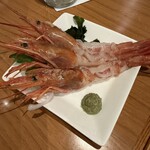 酔い処居酒屋 IRORI - 