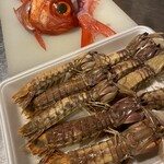 炭焼居酒屋たんたん - 
