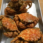 炭焼居酒屋たんたん - 