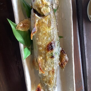 鮎川_1