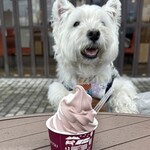 柳月 - 料理写真: