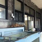 活魚料理 びんび家 - 伊勢