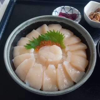 さるふつまるごと館_1