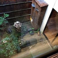 山玄茶 - 