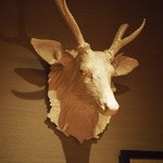 ブレストンコート ユカワタン - 