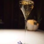 Breston Court Yukawatan