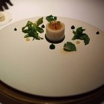 ブレストンコート ユカワタン - 