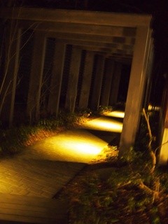 ブレストンコート ユカワタン - 