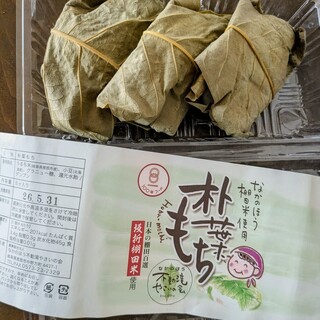 えなてらす_1