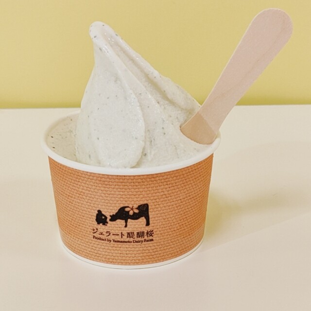 三菱　ソフトクリームフリーザー　アイスクリーム　業務用　 ジェラート　ジャンク 醍醐桜 （酪農家の手作りジェラート ダイゴサクラ） - 美作落合