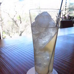 槐樹 - レモン梅酒