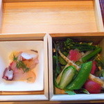 槐樹 - お花見弁当