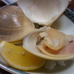 勝しん - 日向はまぐりプリンプリン