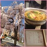 吉野屋 -  ✨Today's Lunch✨720yen
            
            写真は普通盛りですが、それでも量ありました‼️
            中盛り、大盛りを残すと罰金取られます。
            お店の前のしだれ桜、でら綺麗✨吉野家じゃないよ吉野屋。うどん専門店でランチしかやってない、毎日行列の絶えないお店ヾ(❛◡❛)ﾉ