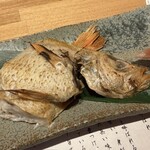 のどぐろ専門 銀座 中俣 - 