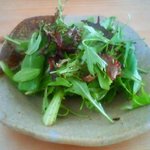 四季彩茶屋 葉菜  - ローフードについているサラダです。