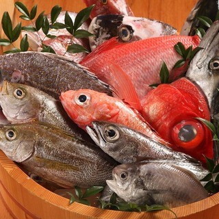 Directly shipped from Kishu Minoshima fishing port!