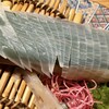 長州鶏焼鳥･泳ぎ活きイカ･手作り餃子 らいが