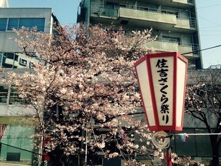 Tenfukurou - お店の目の前の桜咲いてきたね❗️これからお花見を楽しみに