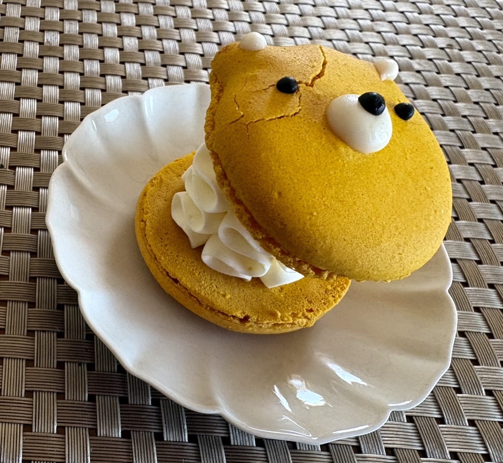 写真 : MAMACARON （ママカロン） - 鶴橋/マカロン | 食べログ
