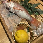 のどぐろ専門 銀座 中俣 - 