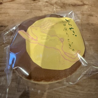 箱根・ルッカの森_1