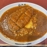 旨辛カレー専門店 白洋亭 - 