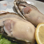 Kaizoku - 新鮮な牡蠣