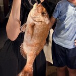 釣船茶屋ざうお - 