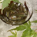 まとの - 