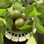 まとの - 
