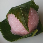 Sakai Meikashi Housen - 桜餅