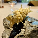 茶禅華
