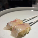 セルサルサーレ - 