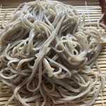 岩本そば屋 - すがかわそば
