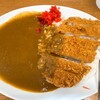 ジャンカレー - 