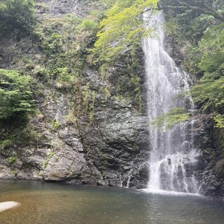 山本珈琲館_0