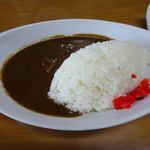 ハンター - ひと口目の衝撃
      ハンターのカレーライス
      深みと渋み
       コクの深さは甚深無量
       大人のカレーじゃけん
      ハマったら恐とろしいわい
      初心者の人にゃあ
      薦めたない作品よ
       ぜったい無理しられんぞん♡