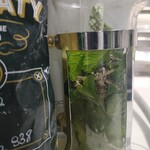 わらびなー - 摘みたてのフレッシュミントとレモングラスのハーブティーHot.でもIceでも♪