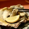 博多ほたる - 