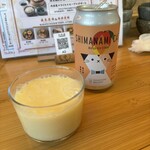 STEAMAN - 