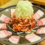 辰家 - フジサン盛りタコポッサム