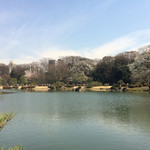 Rikugien Sakura Chaya - 六義園での景色