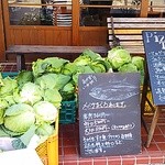 カネ保水産 - 本日のお土産は三浦の春キャベツと大根