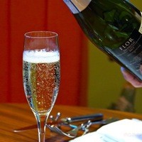 Serafina NEW YORK さいたま新都心店 - 