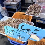 厚田港朝市  - 料理写真: