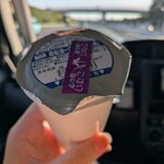 道の駅いたこ - 